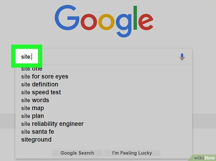 以Use Google to Search Within a Specific Website Step 3为标题的图片 第5张