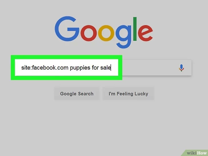 以Use Google to Search Within a Specific Website Step 6为标题的图片 第11张