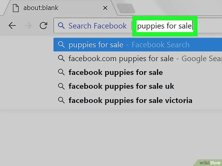 以Use Google to Search Within a Specific Website Step 13为标题的图片 第25张