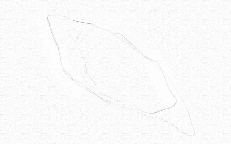 彩铅画果蔬步骤图 第3张