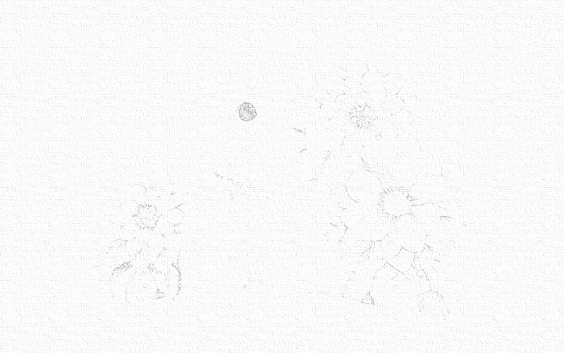 彩铅画兔子教程步骤图 第3张