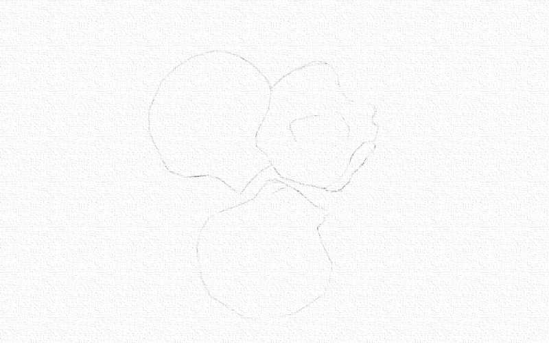 贝壳彩铅画-彩铅画扇贝 第3张