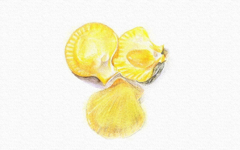 贝壳彩铅画-彩铅画扇贝 第9张
