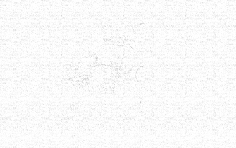 彩铅画海洋生物-蛤蜊 第3张