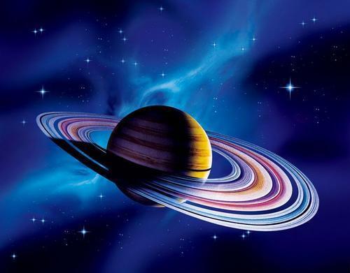 同样裸露在太空，人类仅存活15秒，水熊虫淡定产崽，为何这么强 第1张