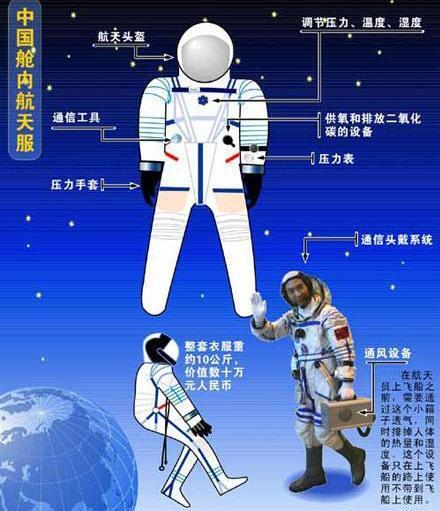 同样裸露在太空，人类仅存活15秒，水熊虫淡定产崽，为何这么强 第11张