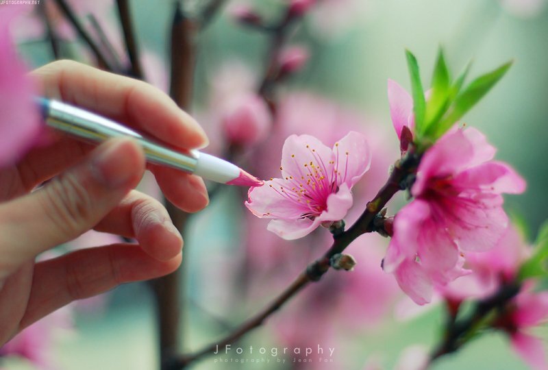 拍出完美错觉相片的技巧 第13张