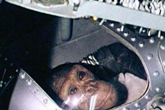 首次进太空的生物是流浪狗，明知有去无回，为何隐瞒真相45年？ 第29张