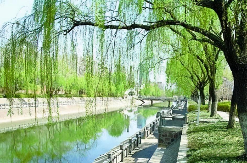金水河风景 第3张