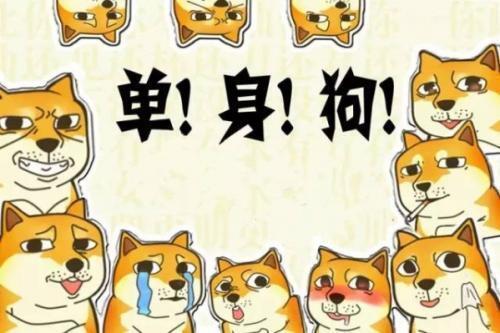 为什么单身要叫单身狗，而不是单身猫，单身猪? 第1张