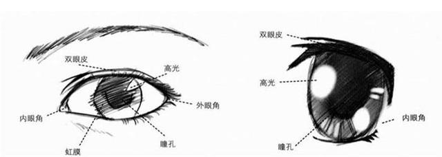 趣知识：眼睛转换成相机有多少万像素 第7张
