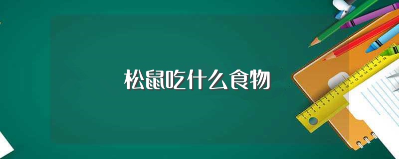 松鼠吃什么食物（什么食物是松鼠吃的） 第1张