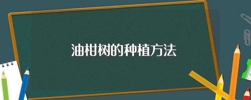 油柑树的种植方法（油柑树种植小技巧） 第1张