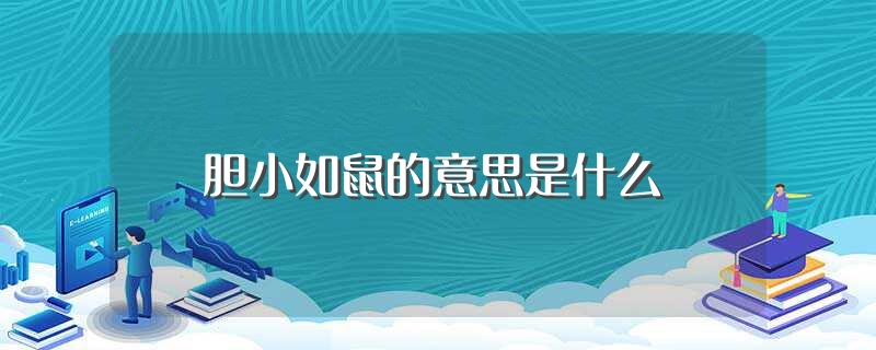 胆小如鼠的意思是什么（怎么理解胆小如鼠） 第1张