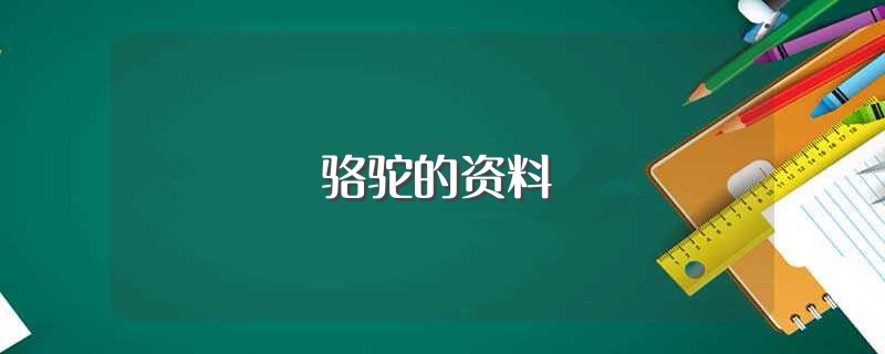 骆驼的资料（骆驼简单介绍） 第1张