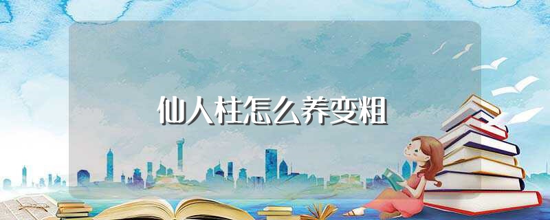 仙人柱怎么养变粗（仙人柱如何养变粗） 第1张