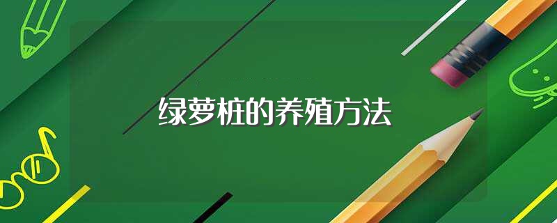 绿萝桩的养殖方法（如何养殖绿萝桩） 第1张