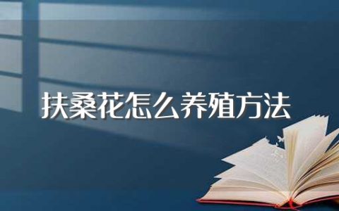 扶桑花怎么养殖方法（扶桑花养殖方法介绍）