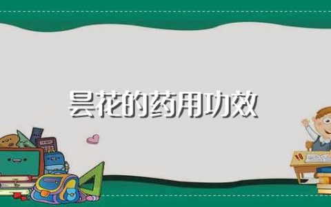 昙花的药用功效（昙花有什么药用价值）
