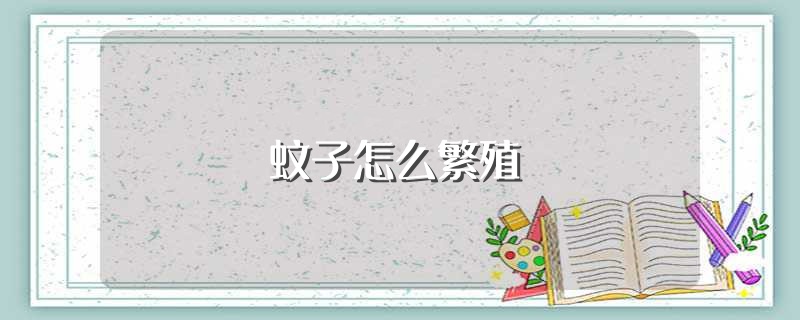 蚊子怎么繁殖（蚊子是怎么繁殖的） 第1张