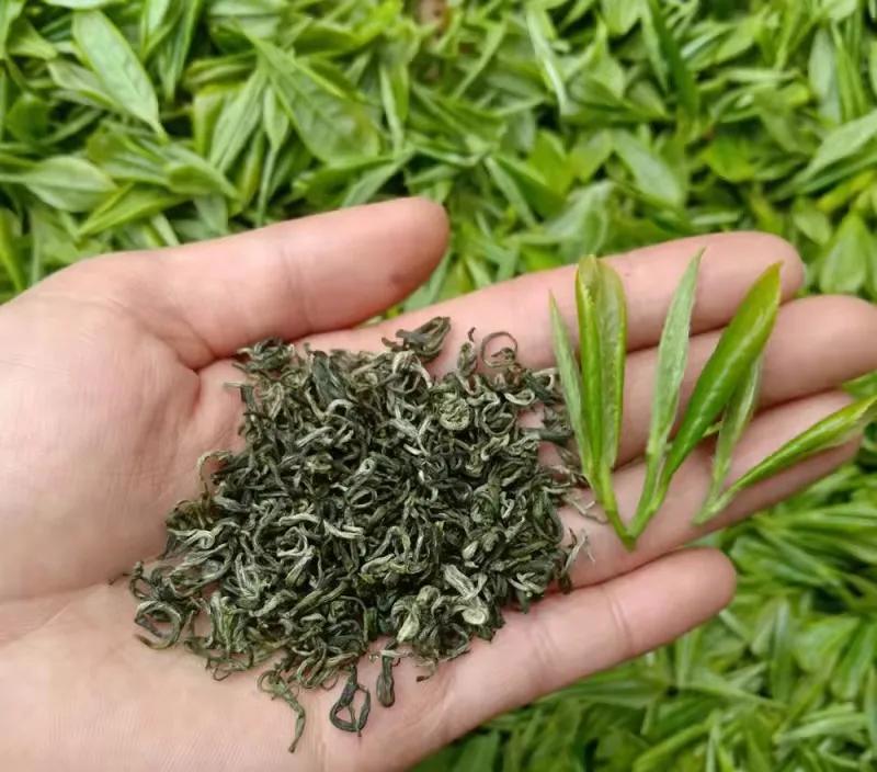 中国最贵的茶叶前十名（盘点国内最贵的十大天价茶） 第53张