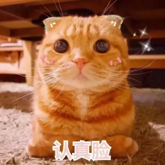 母亲节的起源？为什么节日送康乃馨？ 第5张