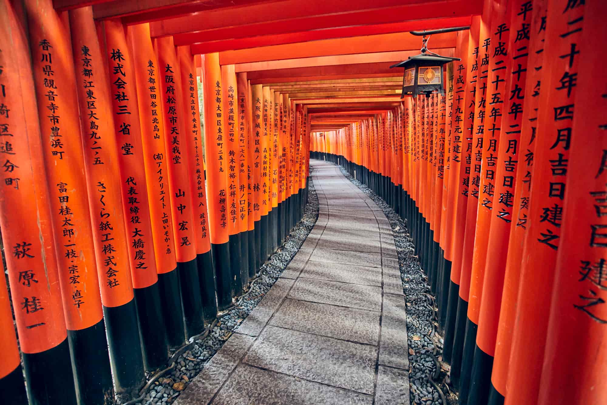 日本旅游最有人气的10大好看景点（日本必去十大景点排名） 第15张