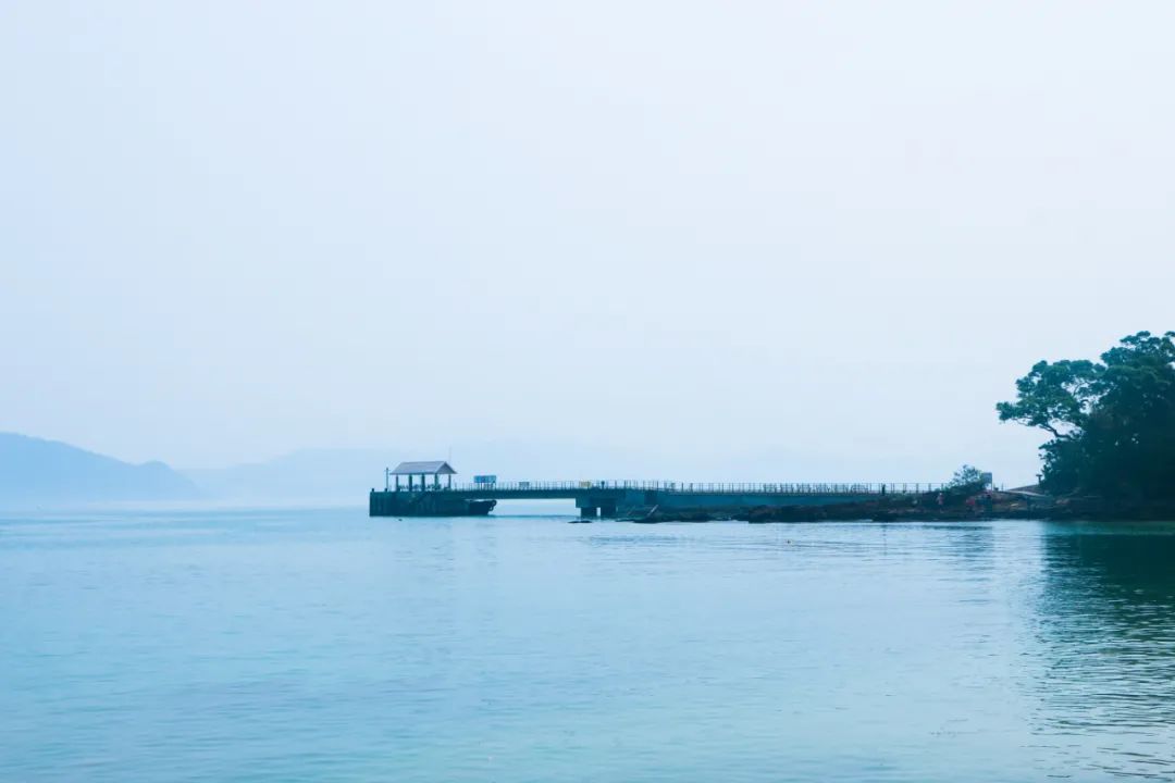 简爱作者简介（一段长久的关系需要平等以待） 第1张