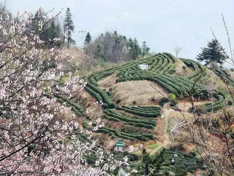 安徽金寨旅游景点攻略（金寨旅游必去的景点推荐） 第27张