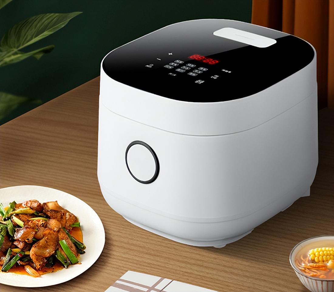 电压力锅品牌排行榜前十名（中国十大电饭煲品牌名单） 第15张