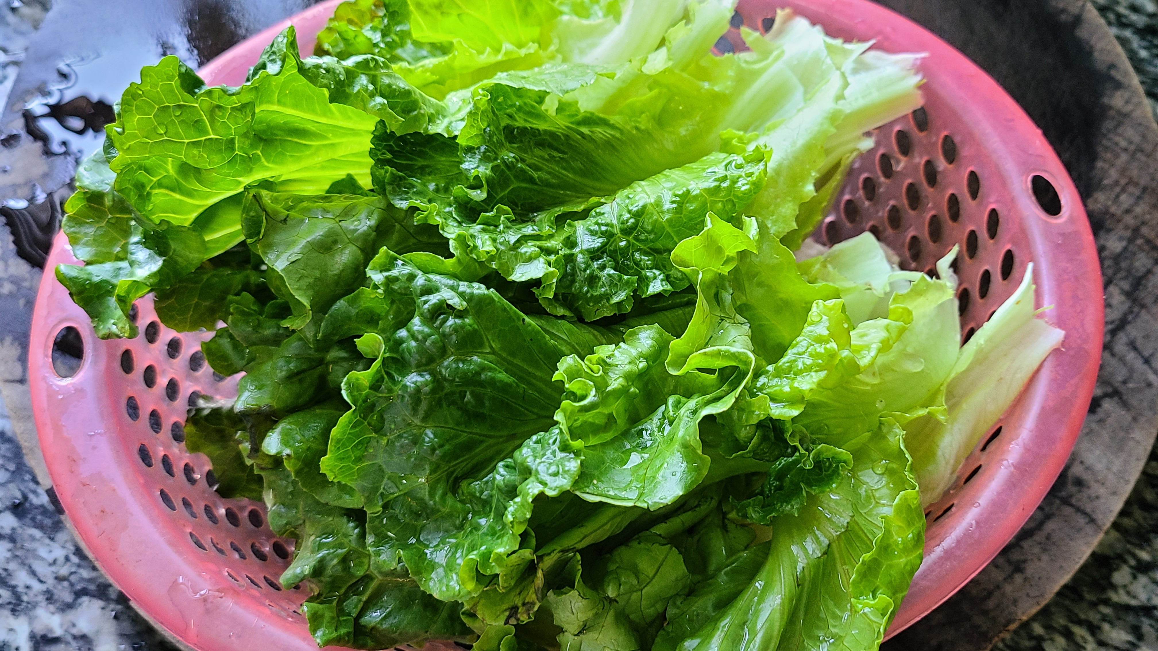 爱吃生菜试试这样做，做法简单味道浓，很好吃的一道家常菜 第7张