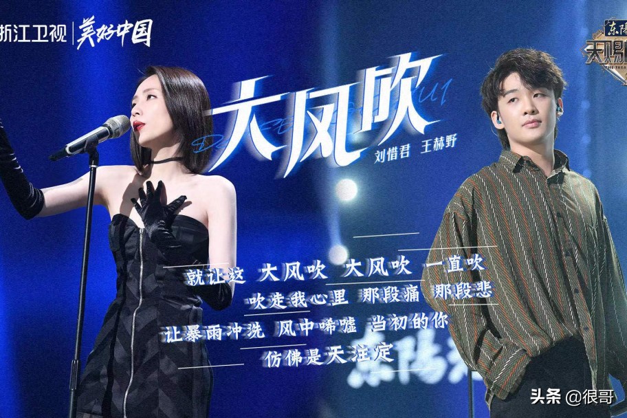 天下谁人不惜君！失声三年，如今因大风吹翻红的刘惜君经历了什么 第5张