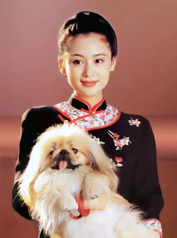 陈红个人资料（“内地第一美女”：28岁嫁给名导） 第1张