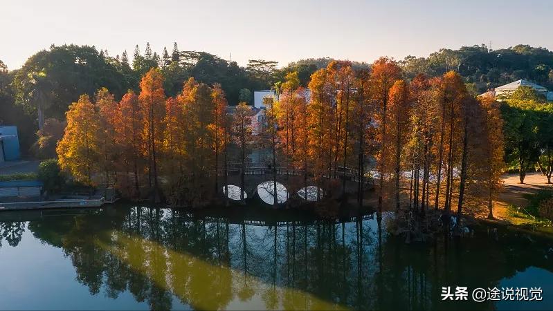 最值得去的广州著名景点（盘点必打卡的广州十大旅游景点） 第19张