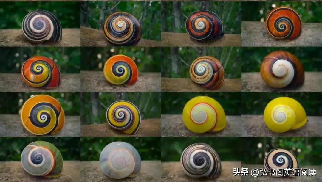 适合中学生看的英文电影 提升孩子英语能力的14部影片 第51张