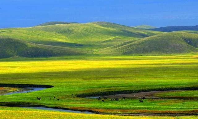 去草原旅游哪里最好（草原爱好者必去的五大草原） 第1张