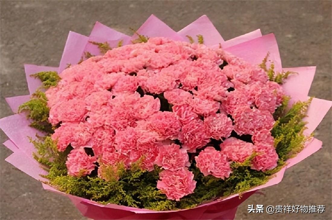 夏季开放的十种花卉 夏天开的花有哪些 第3张