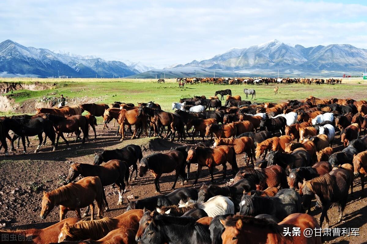 甘肃旅游必玩必去十大景点推荐（甘肃公认最美的10个风景区） 第17张