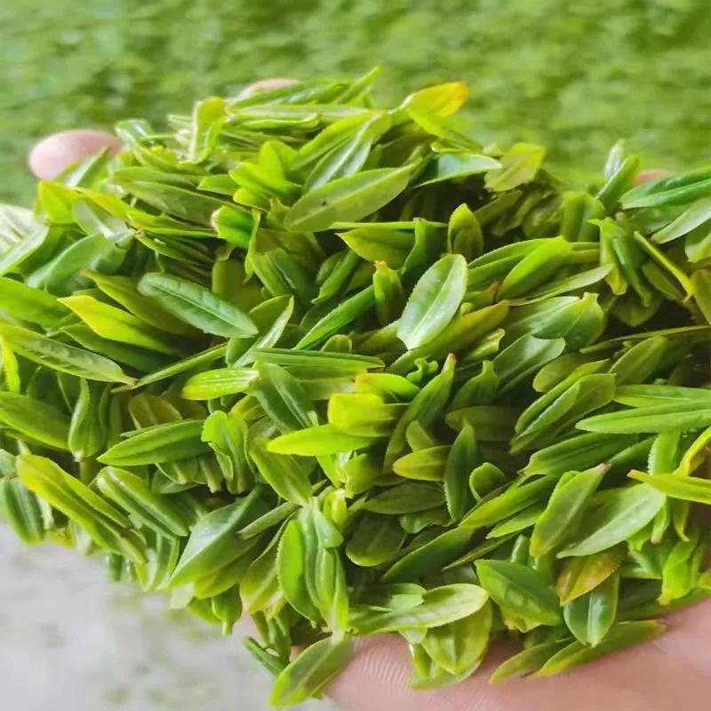 中国最贵的茶叶前十名（盘点国内最贵的十大天价茶） 第45张