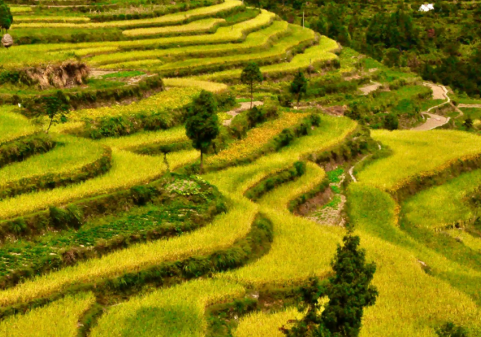 温州地区十大秋季旅游景点推荐（盘点温州秋天适合去游玩的地方） 第7张