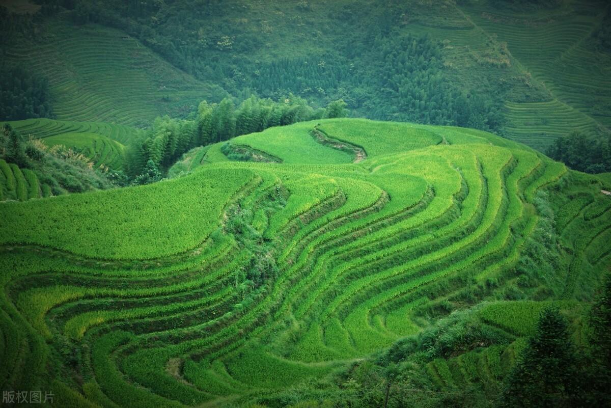 广西有哪些好玩的景点及地方（广西游玩必去十大旅游景点） 第11张