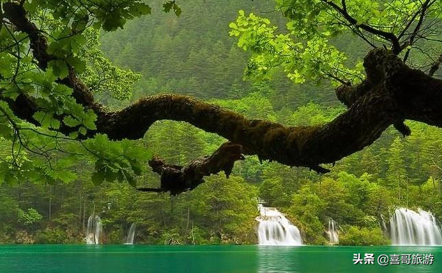 桂平旅游景点攻略（广西桂平自驾游景区推荐） 第9张