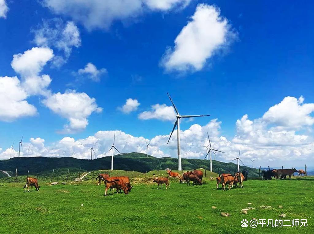 乌鲁木齐市区必去景点（乌鲁木齐六个必去的经典美景） 第13张