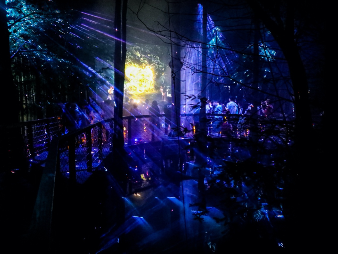 临安有哪些好玩的景点（浙江临安秋季景点推荐） 第19张