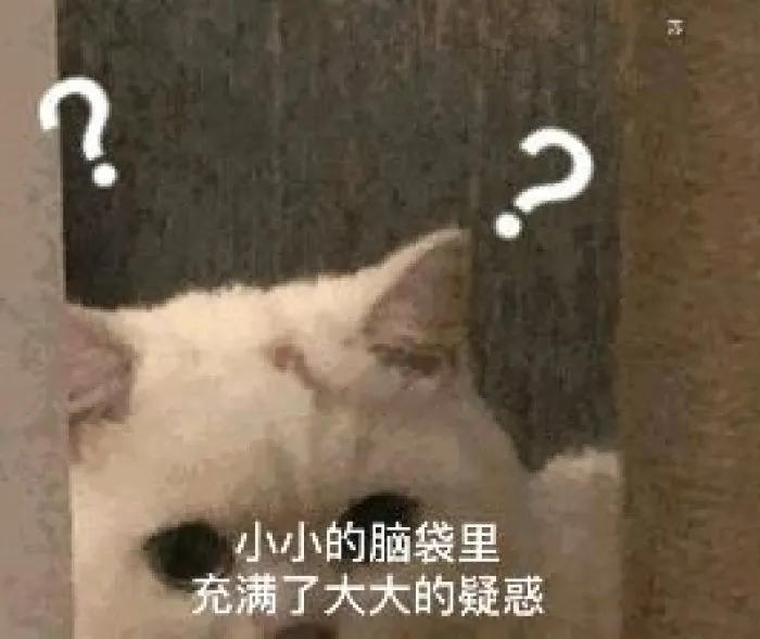 消失退圈？蒋佳恩经历了什么？ 第97张