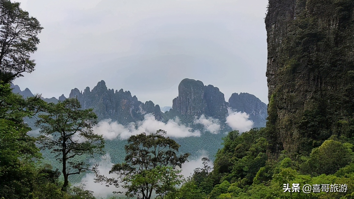 广西金秀县旅游景点攻略大全（金秀县十大旅游景点） 第1张