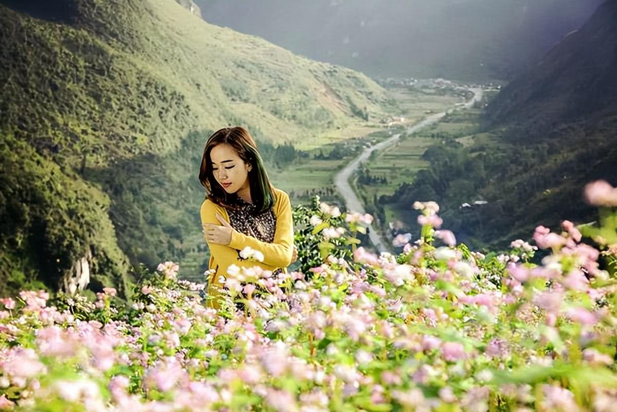 越南旅游景点排名（越南最有名的15个美丽地方） 第27张