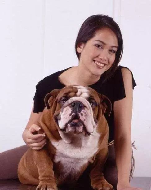 45种名犬，您都认识吗？ 第111张