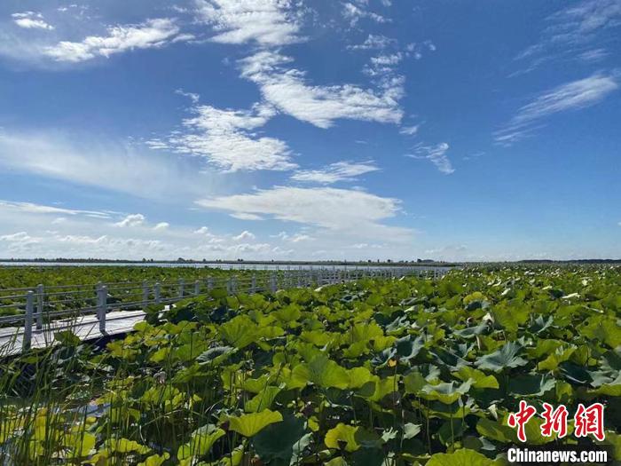 吉林查干湖用绿水青山换来旅游提质 第1张