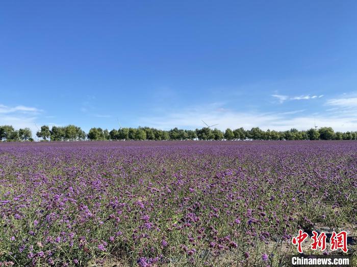 吉林查干湖用绿水青山换来旅游提质 第3张